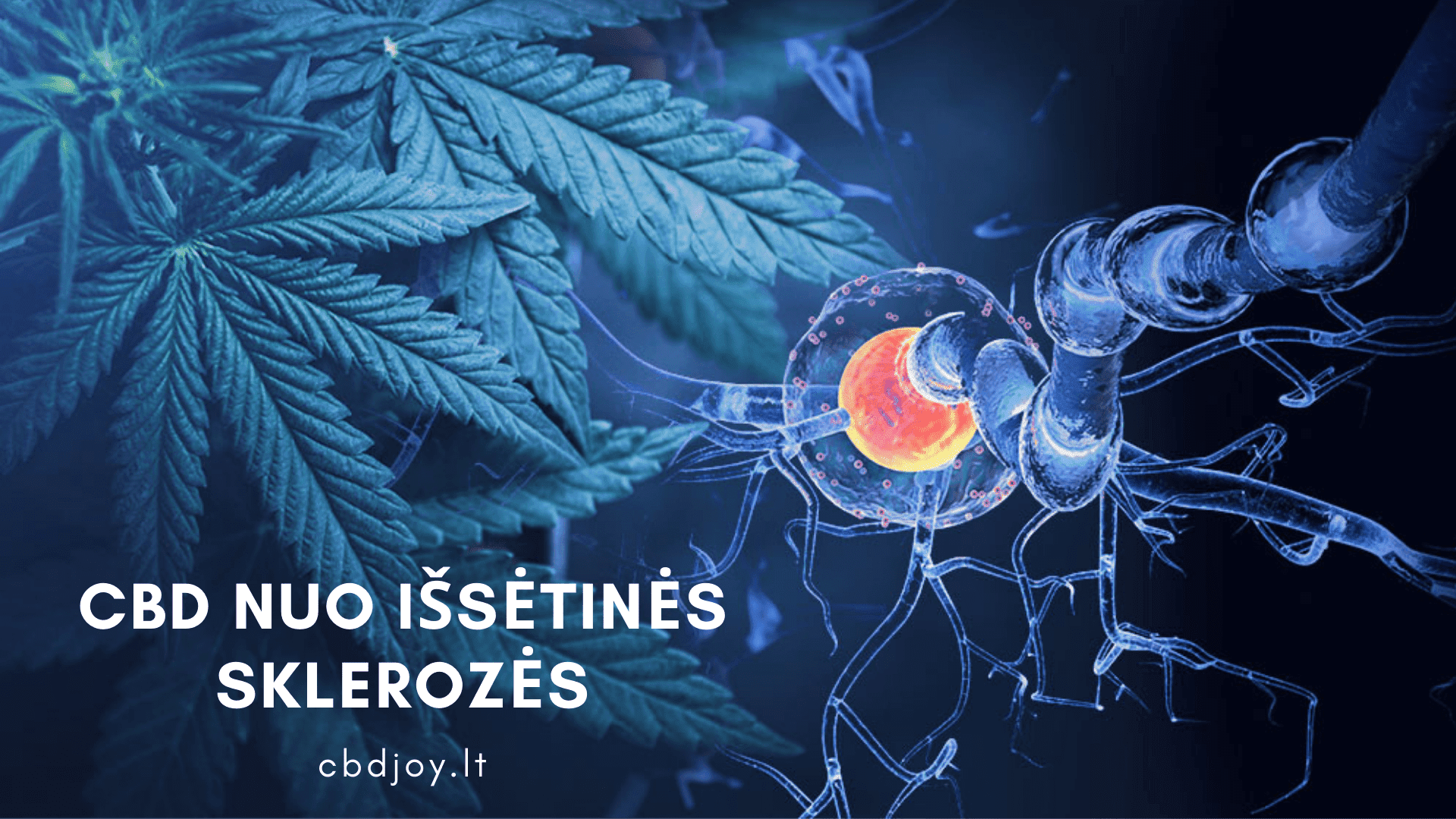 cbd issetine skleroze