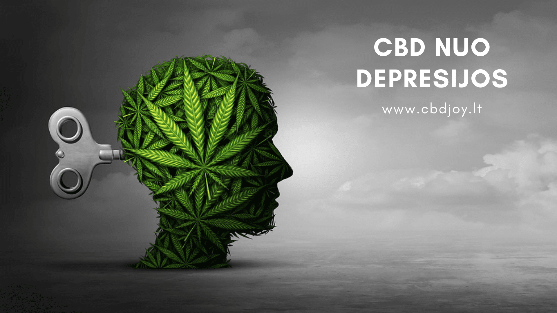 tolerancija cbd produkcijai 6